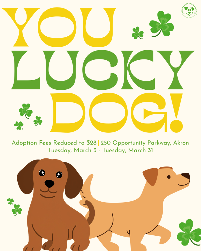 You Lucky Dog! - Spring 2026-1 Volunteer and happy dog at Summit County Animal Control during the “You Lucky Dog!” adoption event offering $28 dog adoptions in Akron.